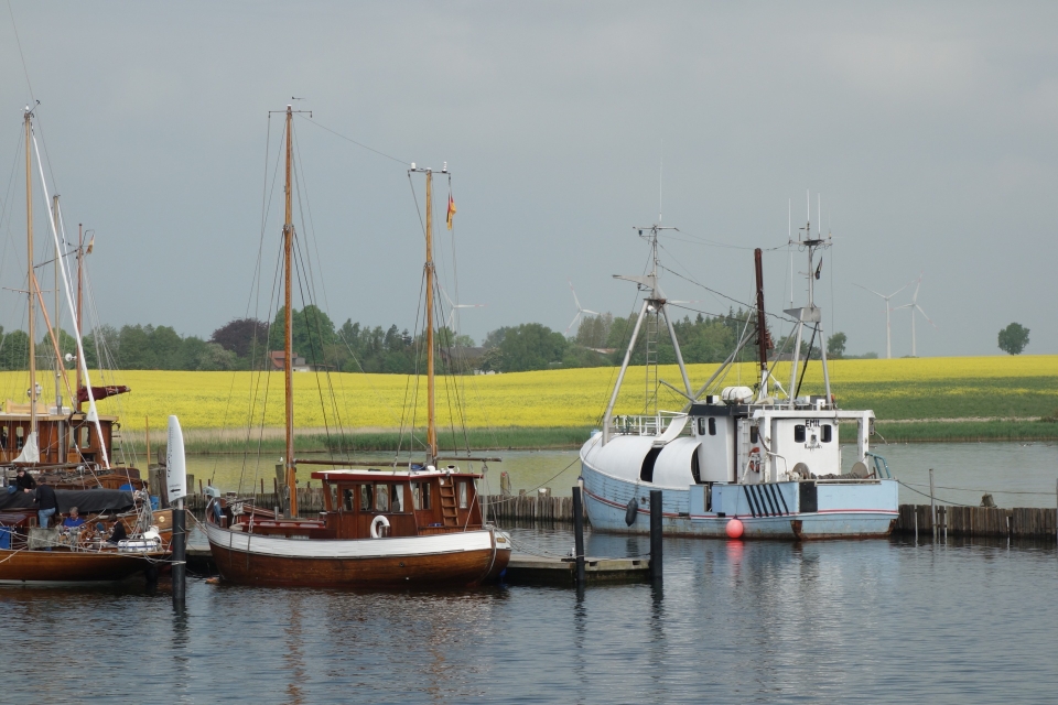 Schlei, Boote und Rapsfelder.