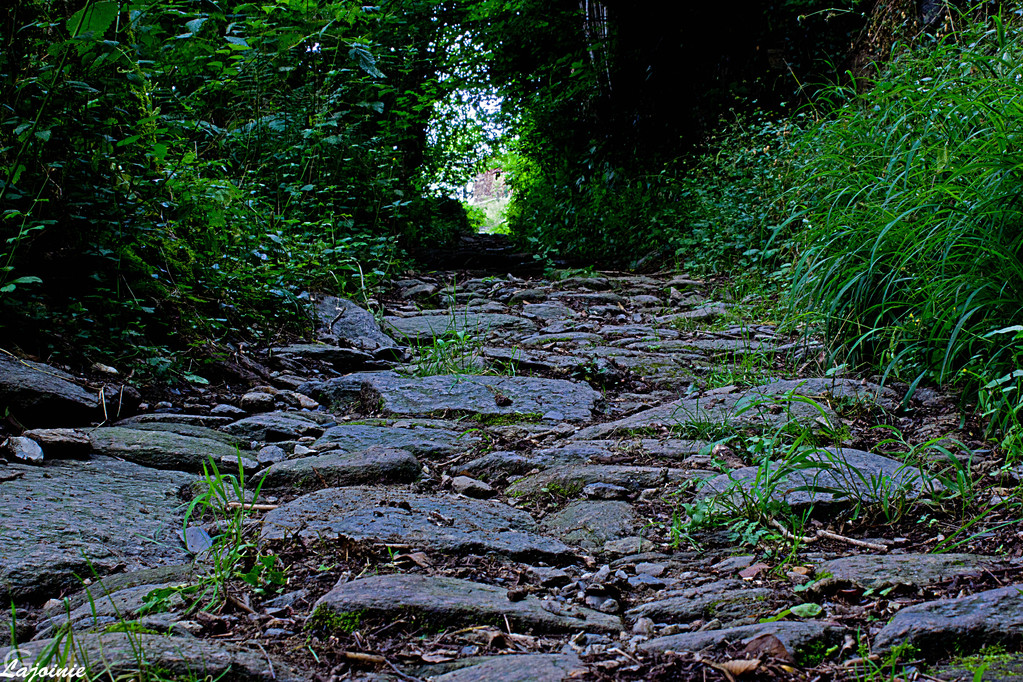 Un sentier