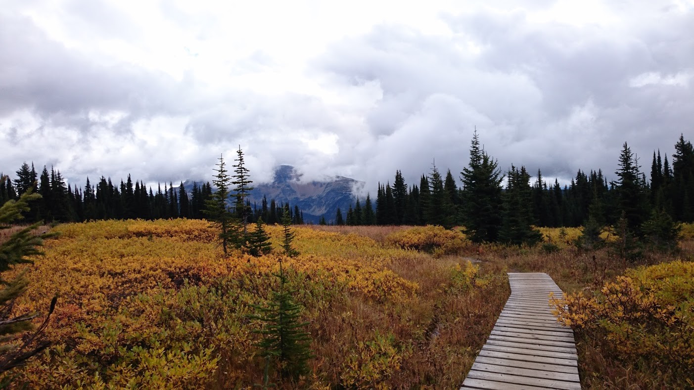 hiking up to trophy mountain