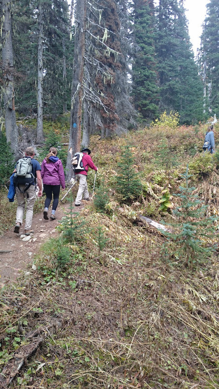 hiking up to trophy mountain