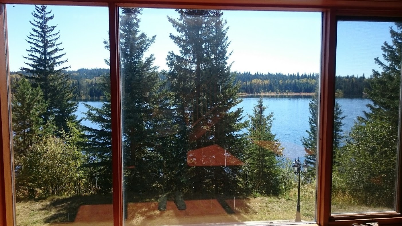 Less trees, new plants, more colour, and new paths... getting things