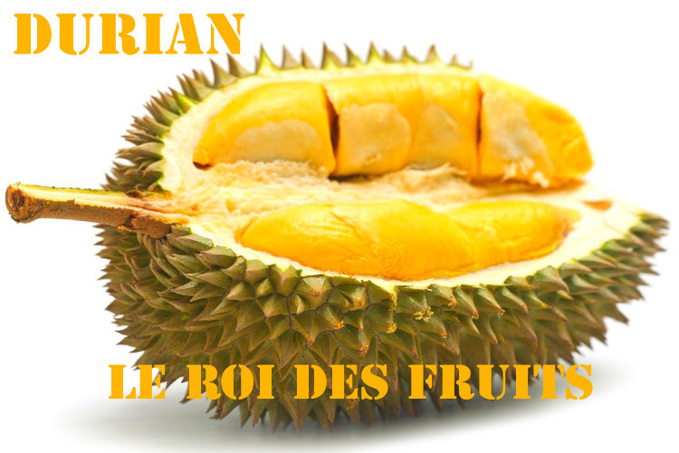 Durian Le Roi des fruits Les meilleures plongées à Bali Durian Le Roi des fruits Les meilleures plongées à Bali