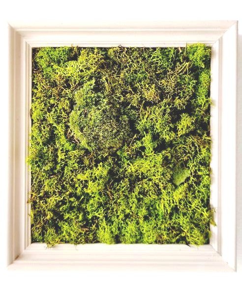 Natura 