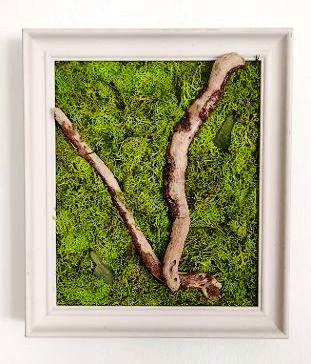 Natura 1