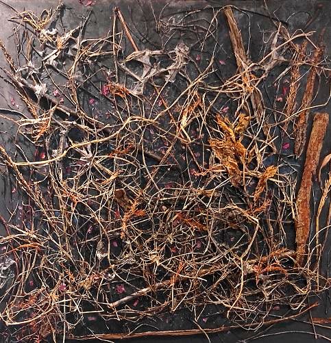 425  Immagini dal bosco  80x80