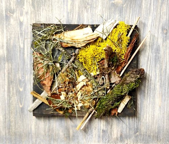 273  FRAMMENTI DAL BOSCO