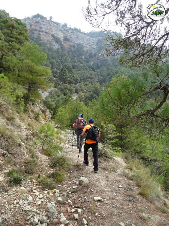 Viejo camino "jorro" de los poyos de Cañizares