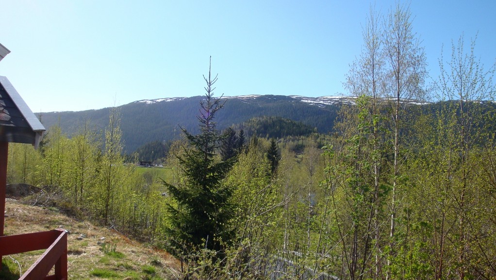 Aussicht von der Gästehausterasse