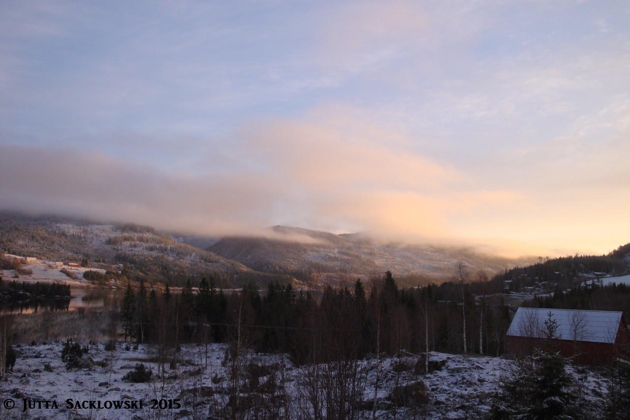 Morgens um 5.00 - Blick von der Terrasse