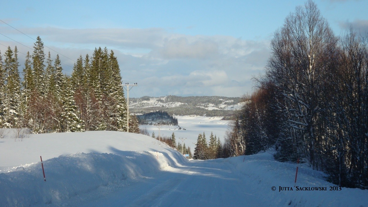 Schneelandschaft auf dem Weg nach Hause