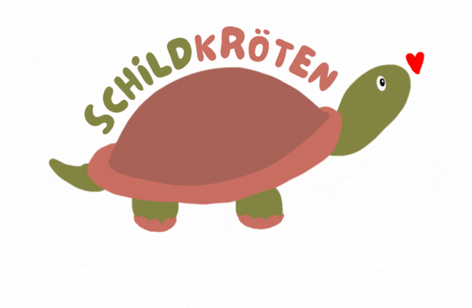 Beleuchtung - Landschildkroeten.de