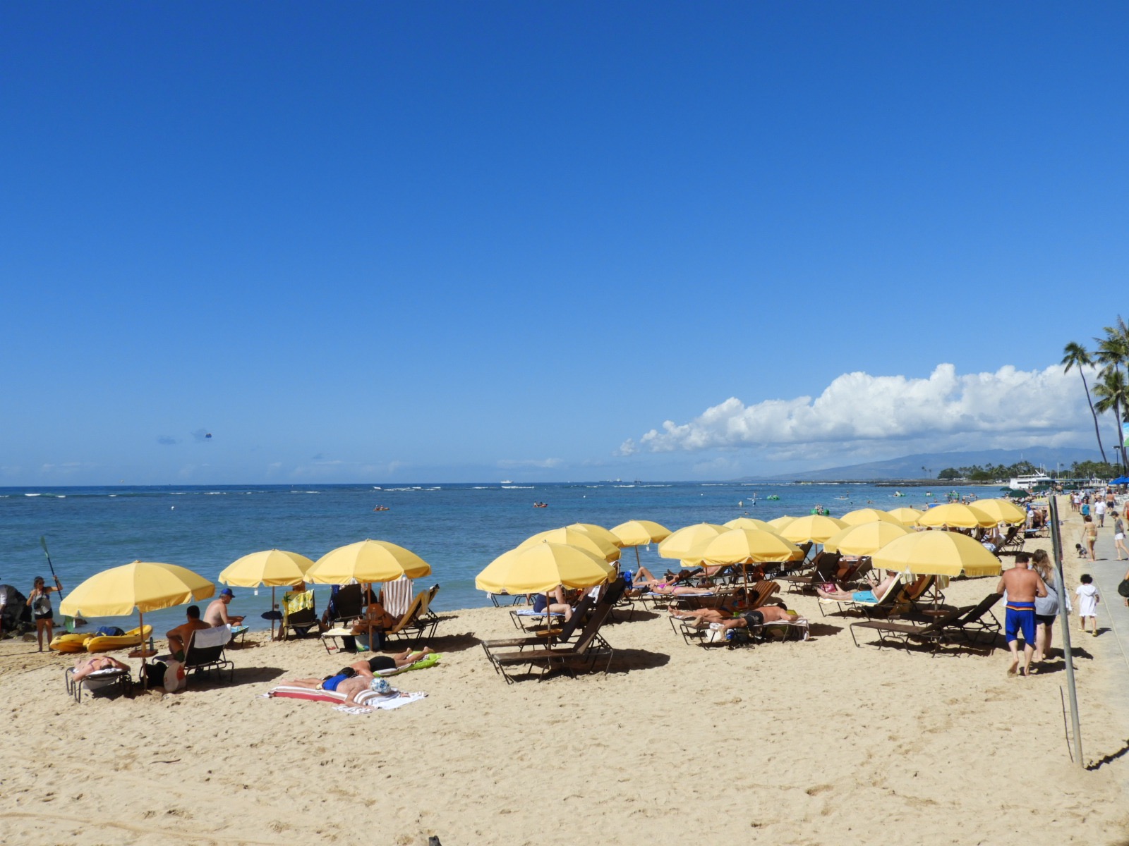Kung Hei Fat Choy ハワイ ワイキキ サーフショップ KAION （カイオン） at WAIKIKI SHORE 公式サイト｜日本発送可 カスタムオーダーも！