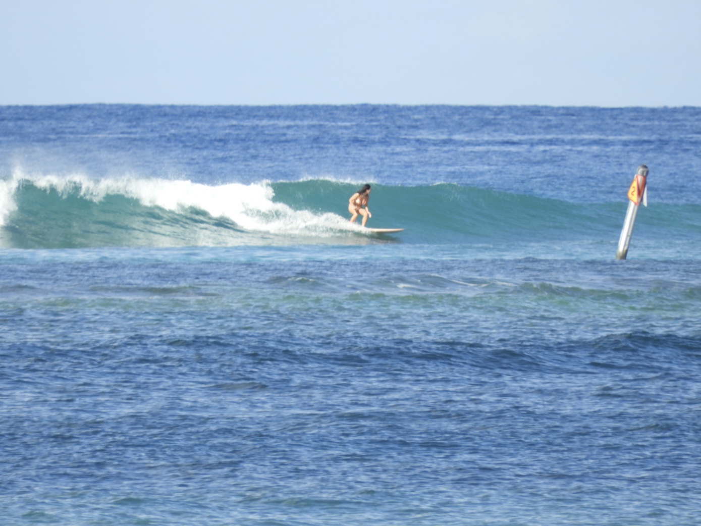 Hanalei Bay ハワイ ワイキキ サーフショップ KAION （カイオン） at WAIKIKI SHORE 公式サイト｜日本発