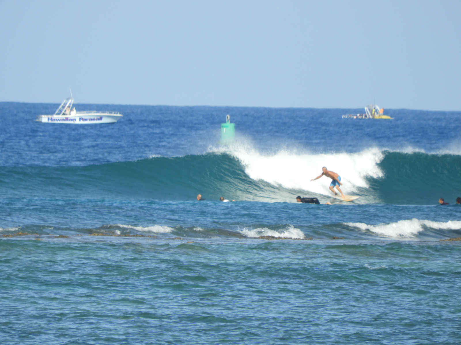 【希少】イーブイ　デルタ種　ワールドチャンピオンシップ2007 in ハワイ 希少】イーブイ デルタ種 ワールドチャンピオンシップ2007 in