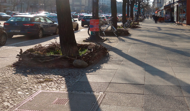 Bismarckstr.: Standard-Baumscheiben