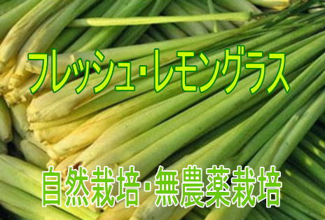 商品ページ レモングラス Lemongrass