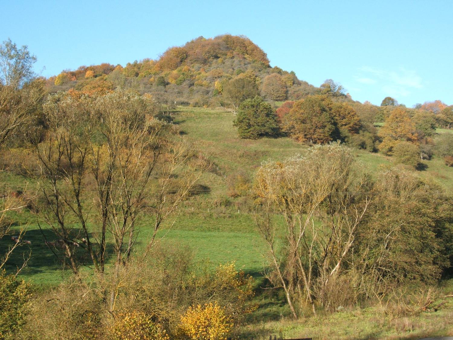 Vulkankegel Buerberg bei Schutz