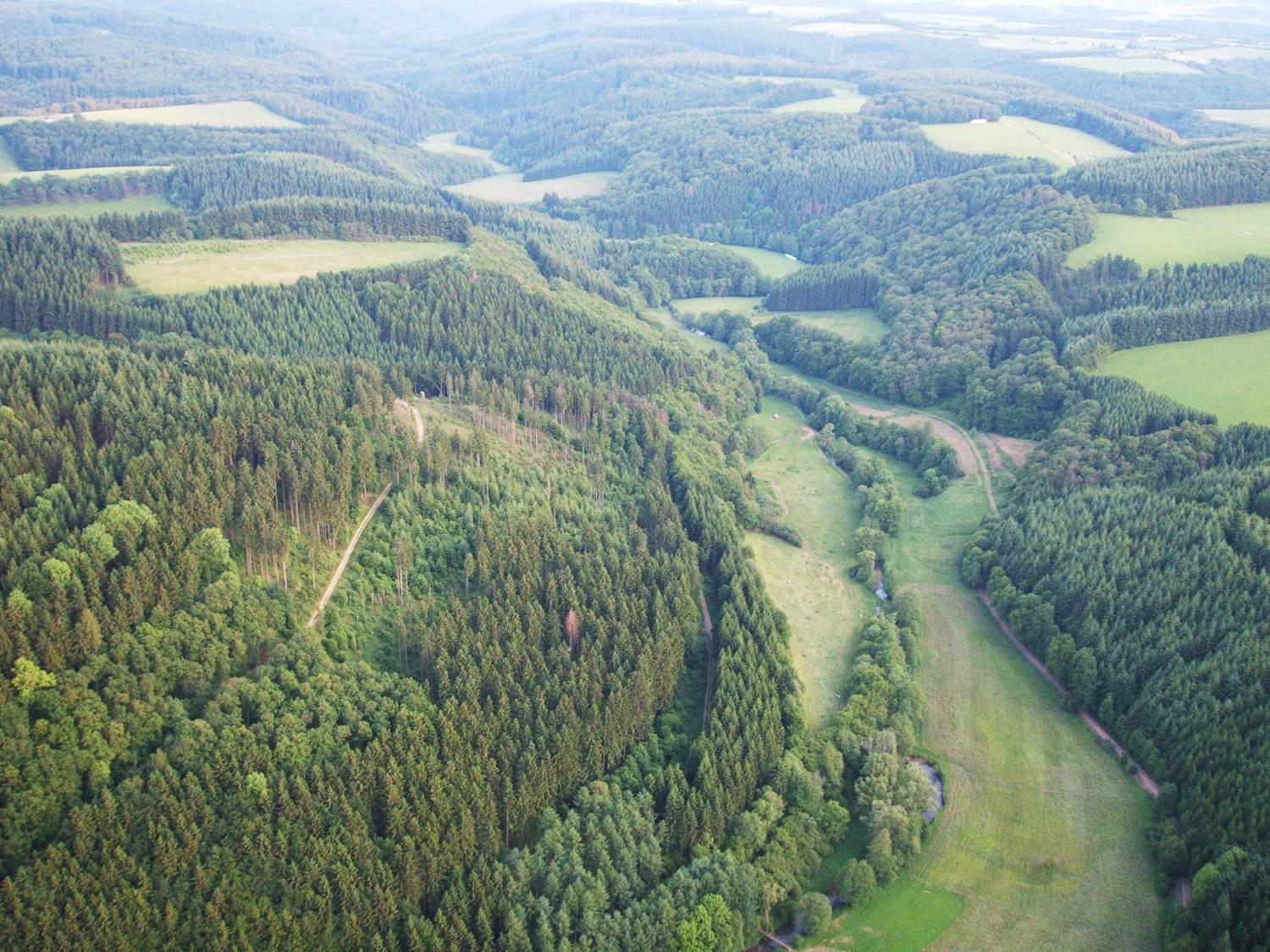 Liesertal unterhalb der Üdersdorfer Mühle