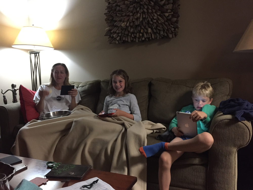2x Mini iPad, 1x Kindle