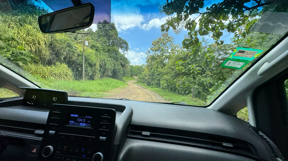 You know where you are? You’re in the jungle, baby!