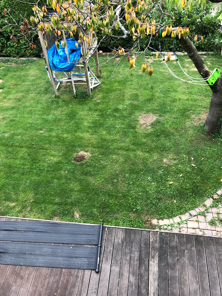 Ein Abschiedsgruß vom Maulwurf (Freitagmorgen)