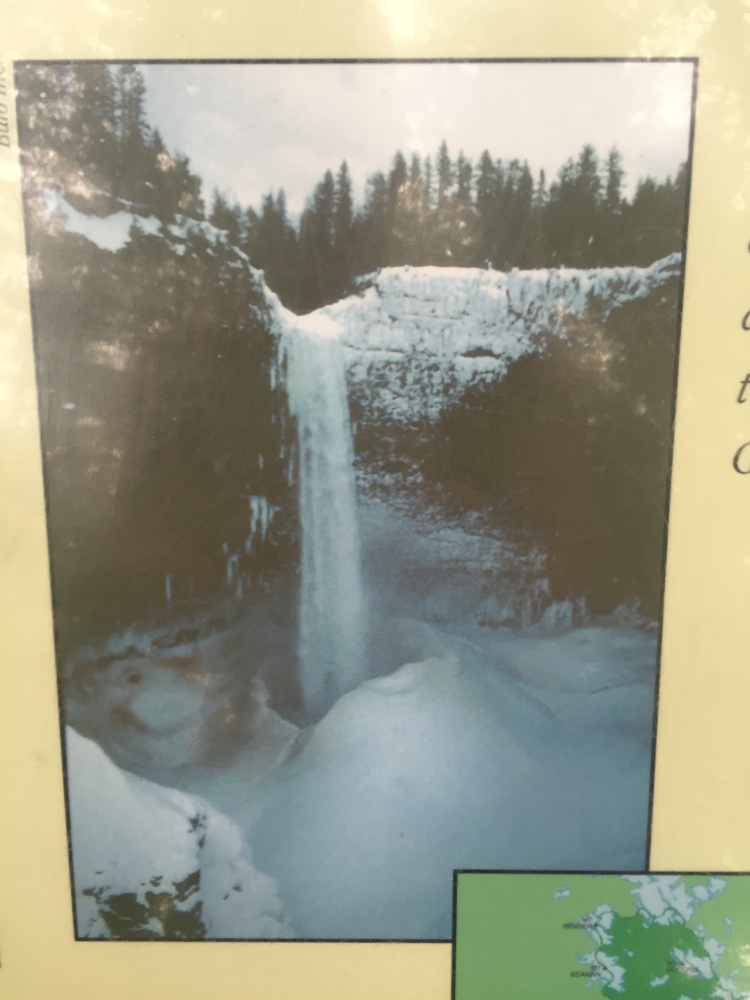So sehen die Helmcken Fall im Winter aus (vom Schild abfotografiert)