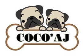 COCO’AJ