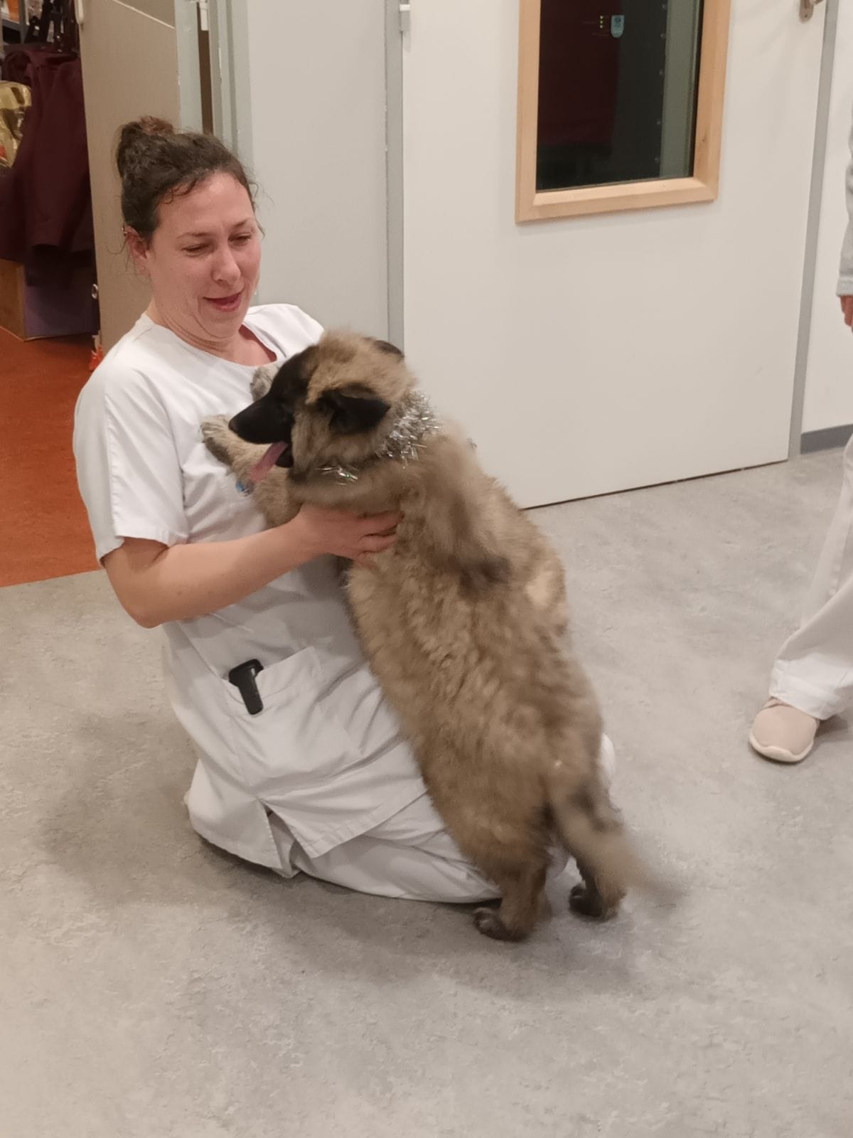Tervuerens chiens visiteurs Ehpad