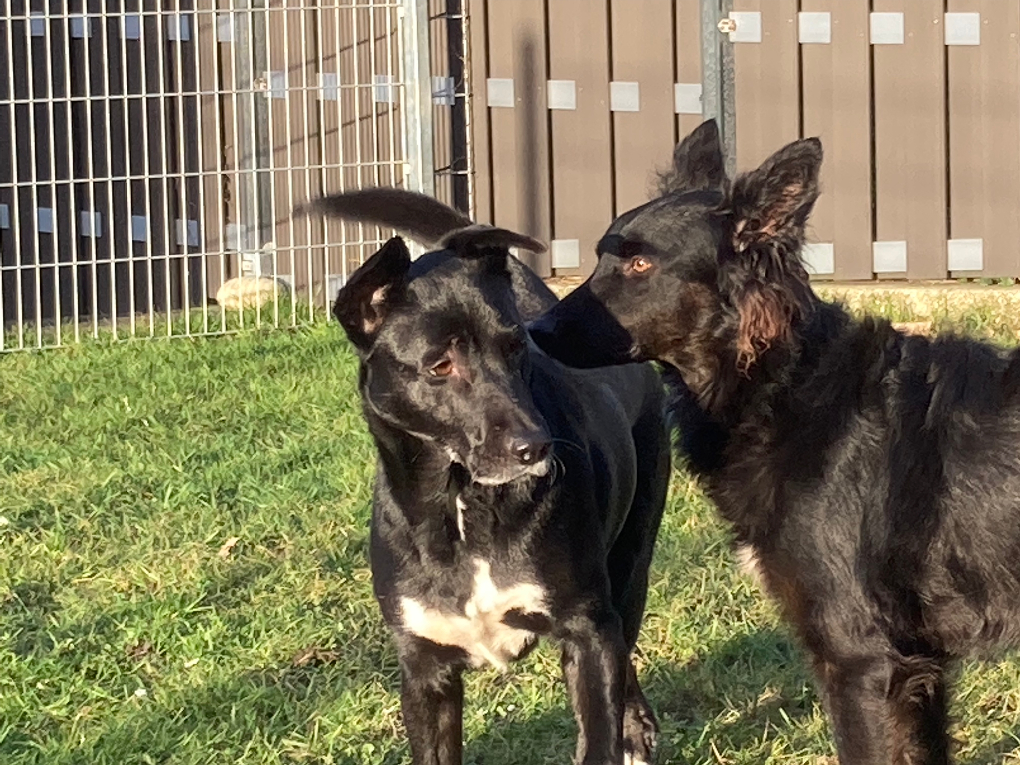 Elà und Jamila