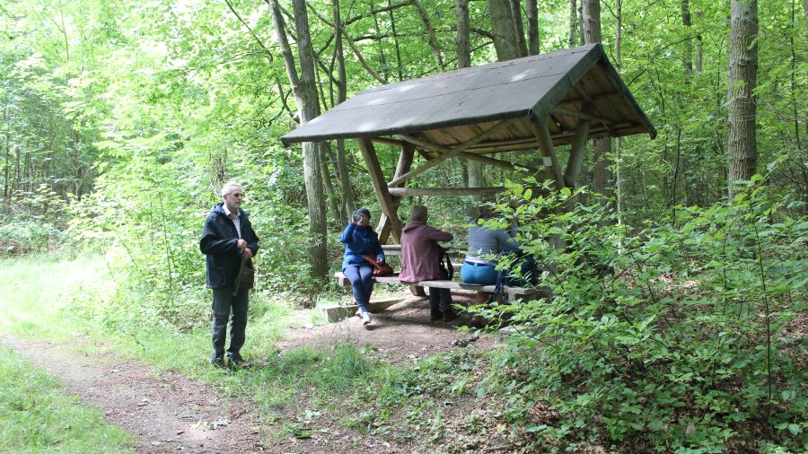 Plauer Wanderwege - Runde 8