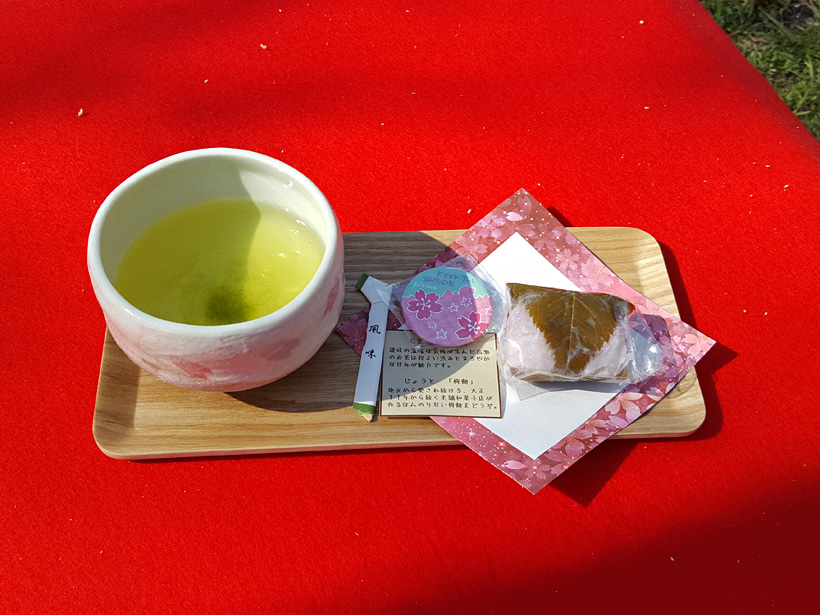 桜餅とお茶のセット