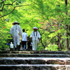 四国八十八ヶ所を1日で巡った事に出来る!?弘法大師生誕の地、香川で巡る初心者向けゆる遍路