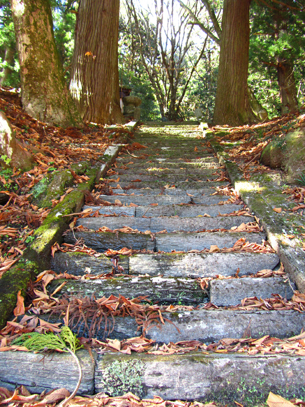 【徳島県・東祖谷 】キリストと関係あり?山奥にひっそりたたずむ栗枝渡神社 夫婦温泉二人旅!温泉大好き夫婦の美味しい食事と温泉のブログです。