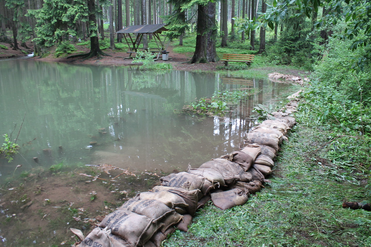 Ende Mai Anang Juni regnet es ungewöhnlich viel. Auch in Crawinkel gibt es einige kleine Hochwasser wie hier am Mayn´s Teich.