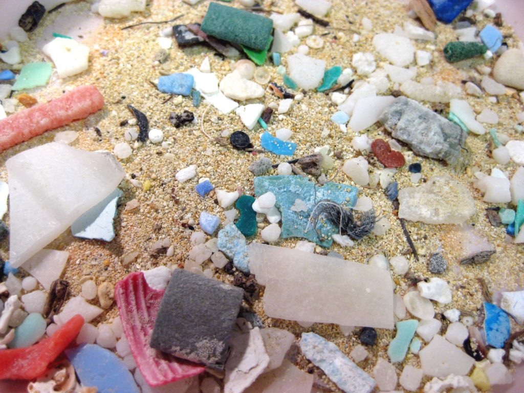 魚よりプラスチックが多い未来？ビーチクリーンから考える地球の明日