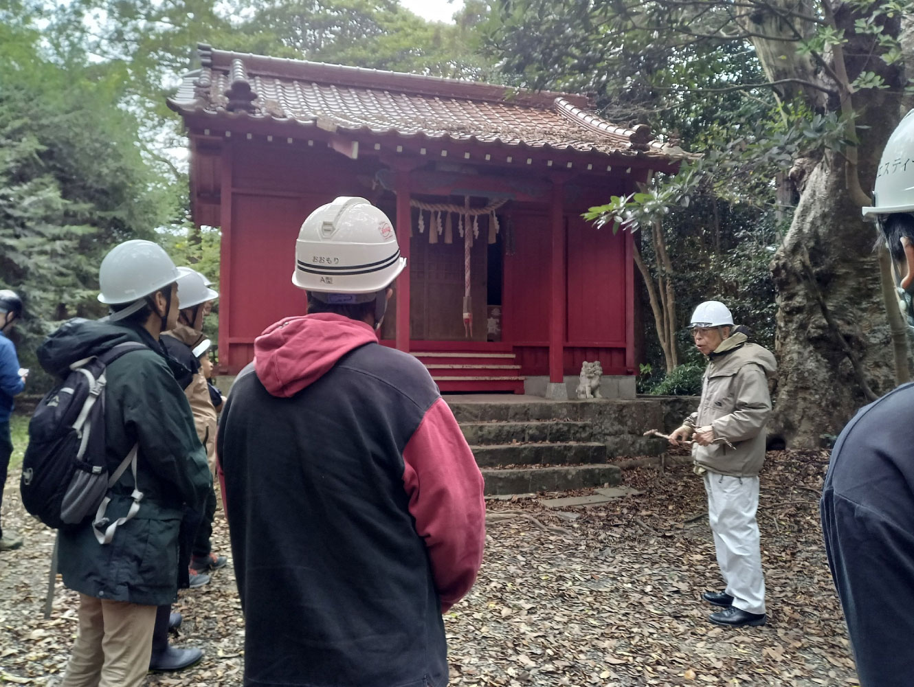 森を守り育てていく仕組みと鎮守の森