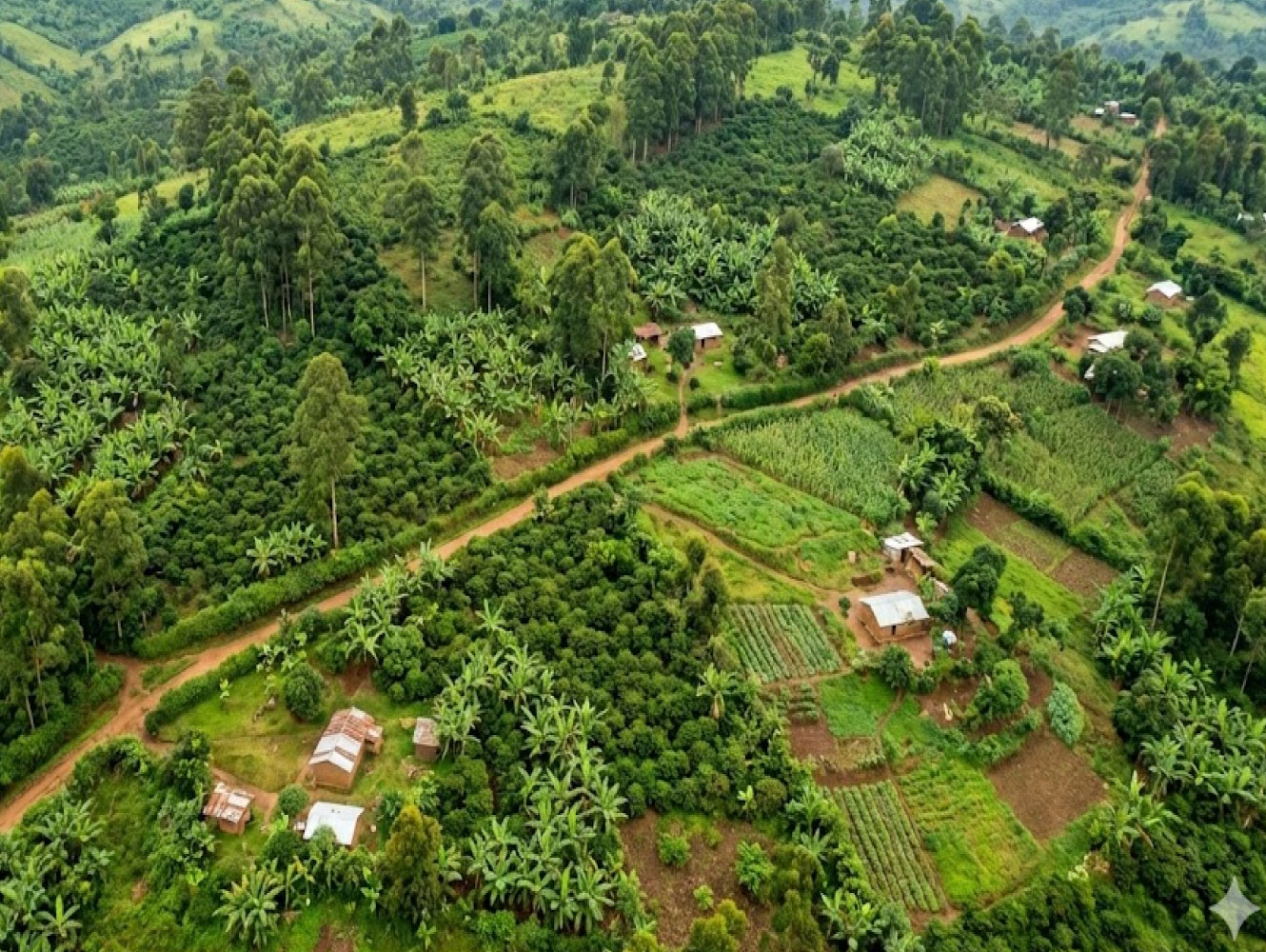温室効果ガスの排出削減にカーボンファーミング