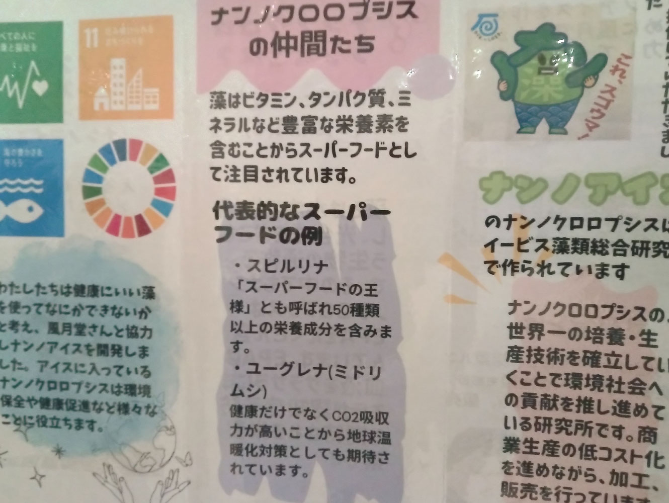 伝統の日本食はスーパーフード天国！