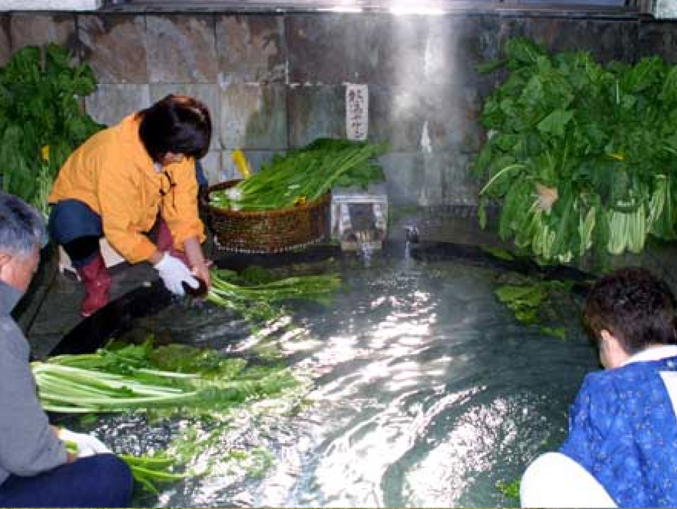 水を使うという事は水を汚すという事？？