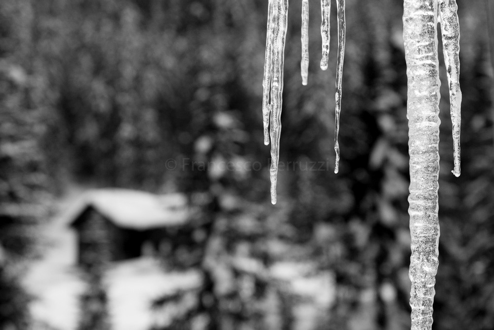 Dettagli dalla Val di Funes [details from Funes Valley]