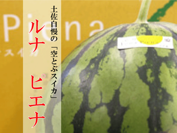 おいしい土佐 贈る土佐 くだものの山長 やまちょう ホームページ