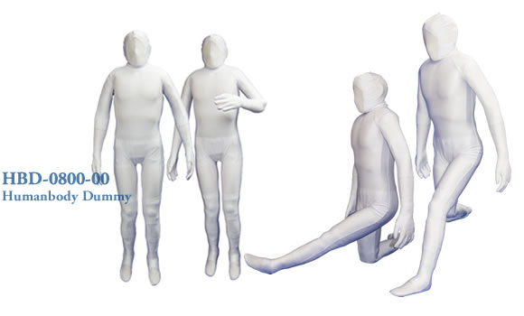 ヒューマノイドダミーβフルスケルトンは人間のような柔軟性と人体に近似した可動域を持ち合わせたダミー人形です。