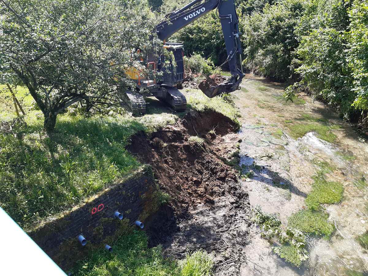 Décapage des foyers de renouée(racines)