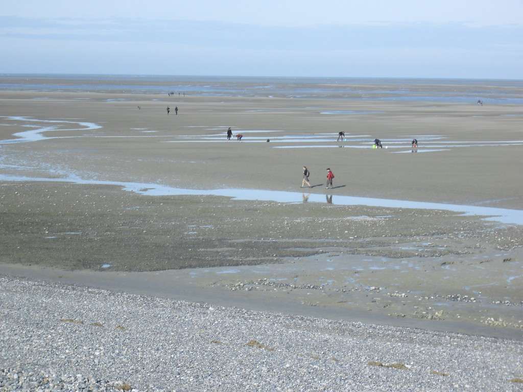 Plage de Cayeux-sur-mer à marée basse