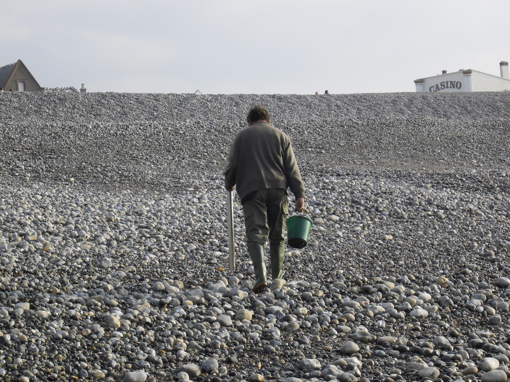 ramasseur de vers de sable