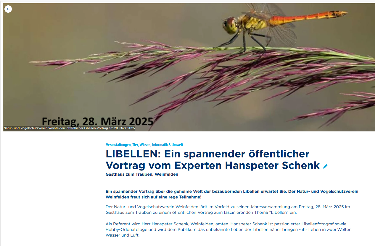 Libellenvortrag