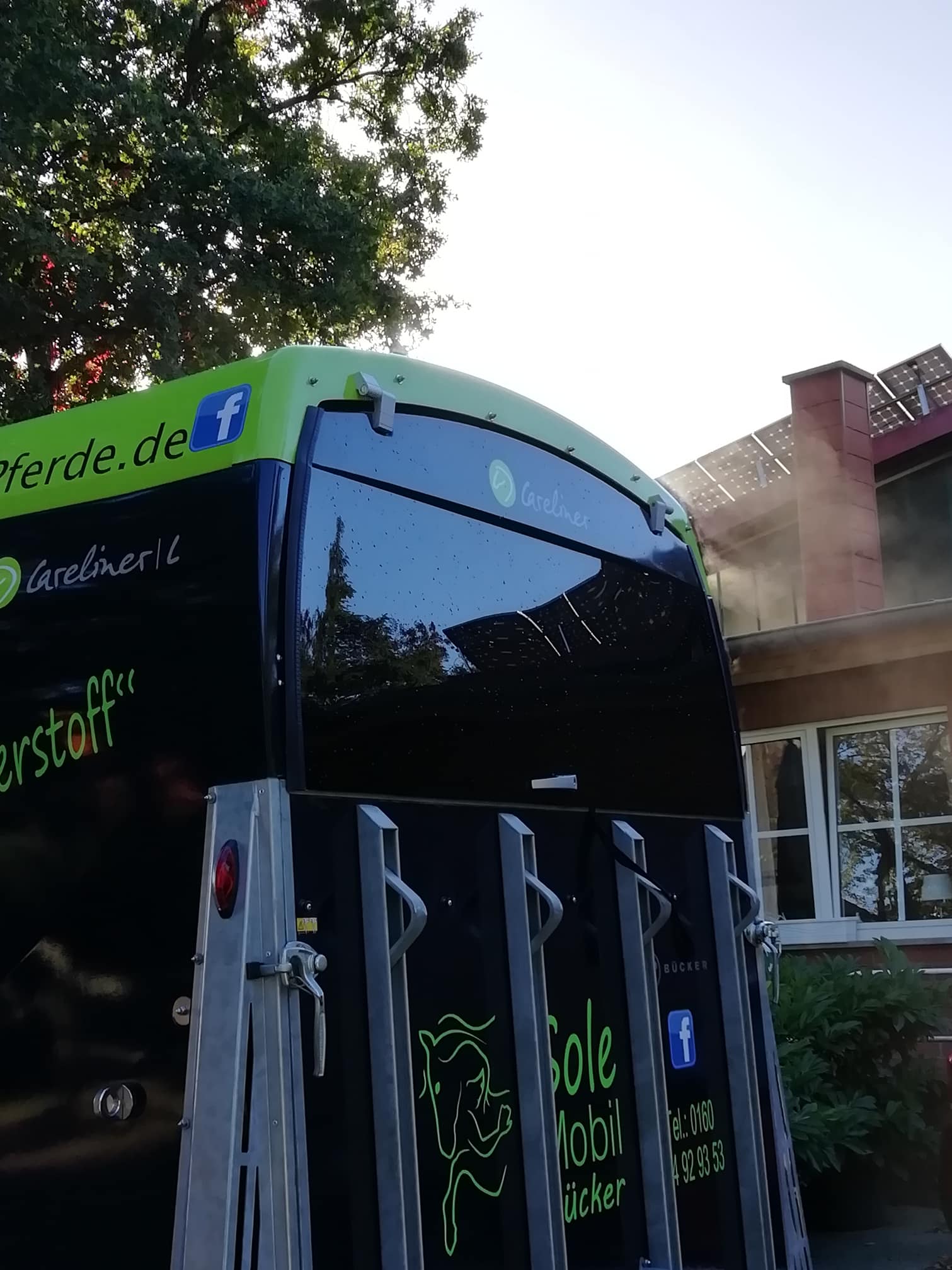 Inhalieren Ohne Maske Solemobil Fuer Pferdes Webseite