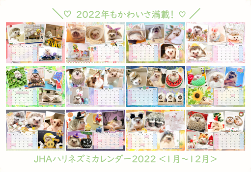日本ハリネズミ協会様提供　2022年度カレンダーデータ