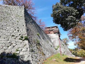 松山市・松山城写真画像