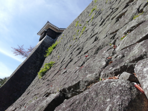 松山市・松山城写真画像